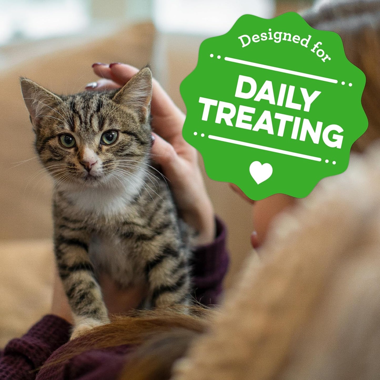 Greenies Feline Smartbites - Snacks saludables para gatitos sabor a pollo.