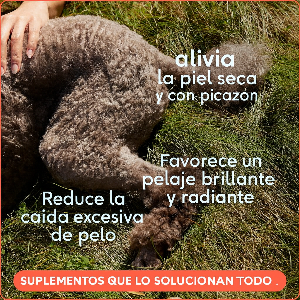 Suplemento de aceite de pescado de Alaska para perros Native Pet.