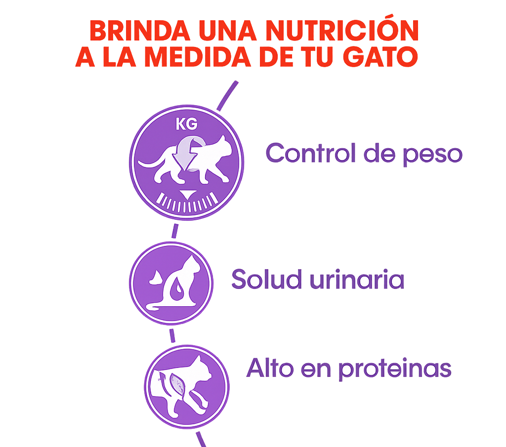 Royal Canin Sterilised 37 Gatos Esterilizados