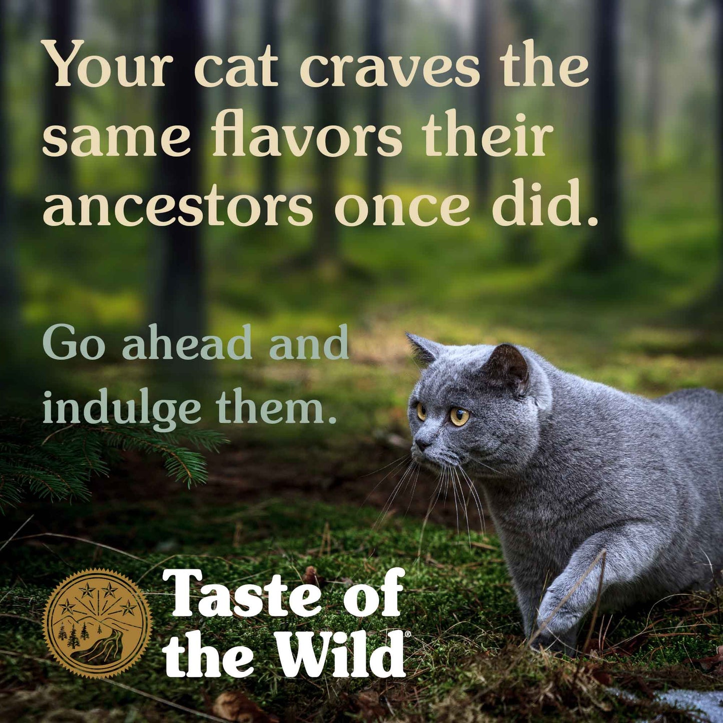 Taste Of The Wild Rocky Mountain Gato Sabor Venado Y Salmón