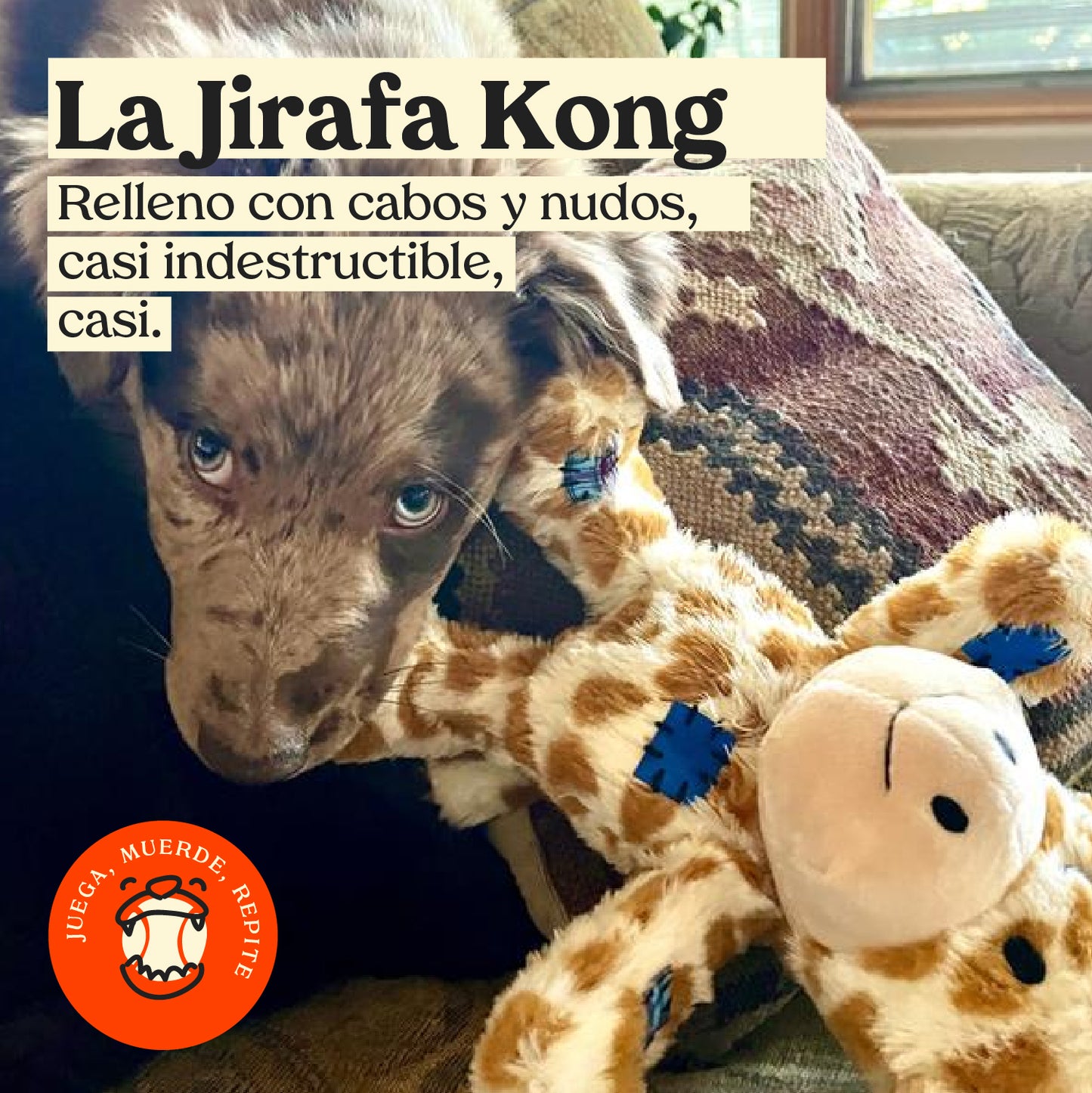 Jirafa Kong Knots - Juguete para perro