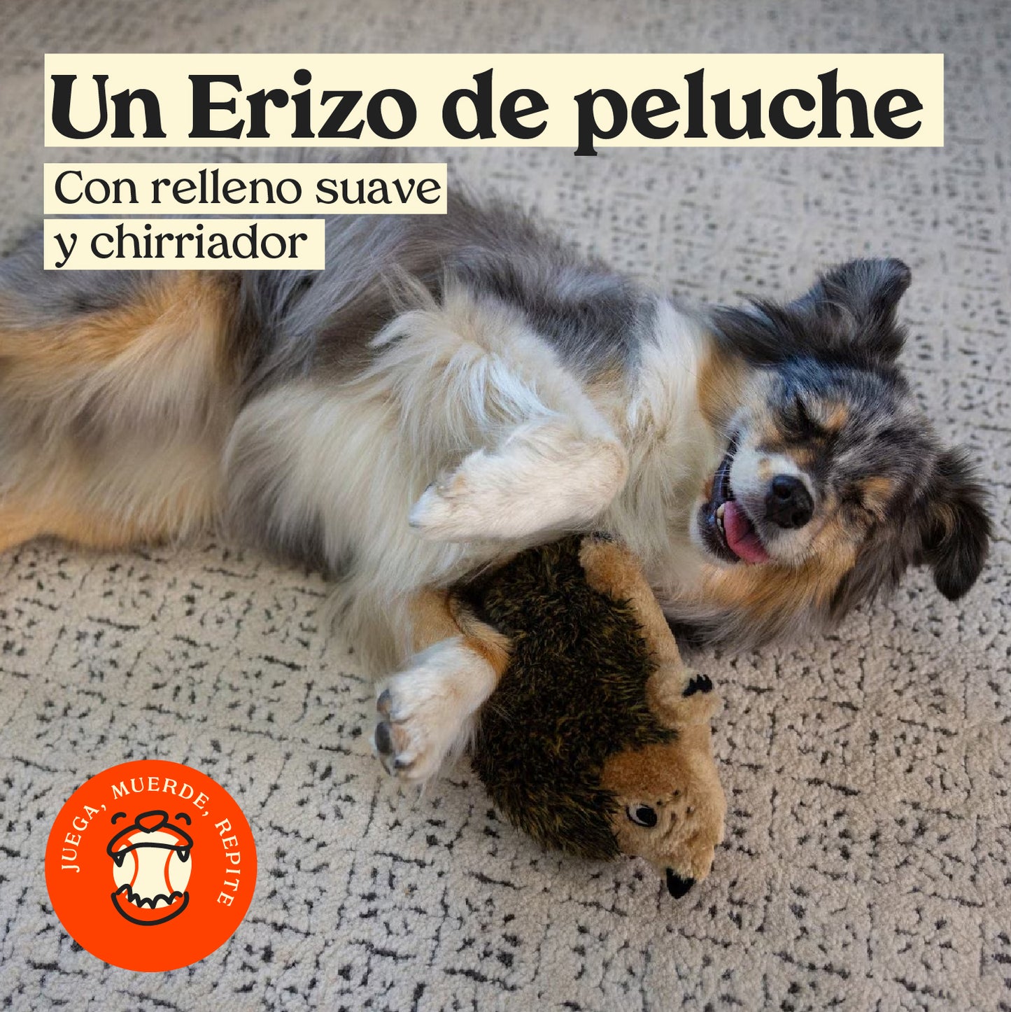 Erizo de Juguete Outward Hound