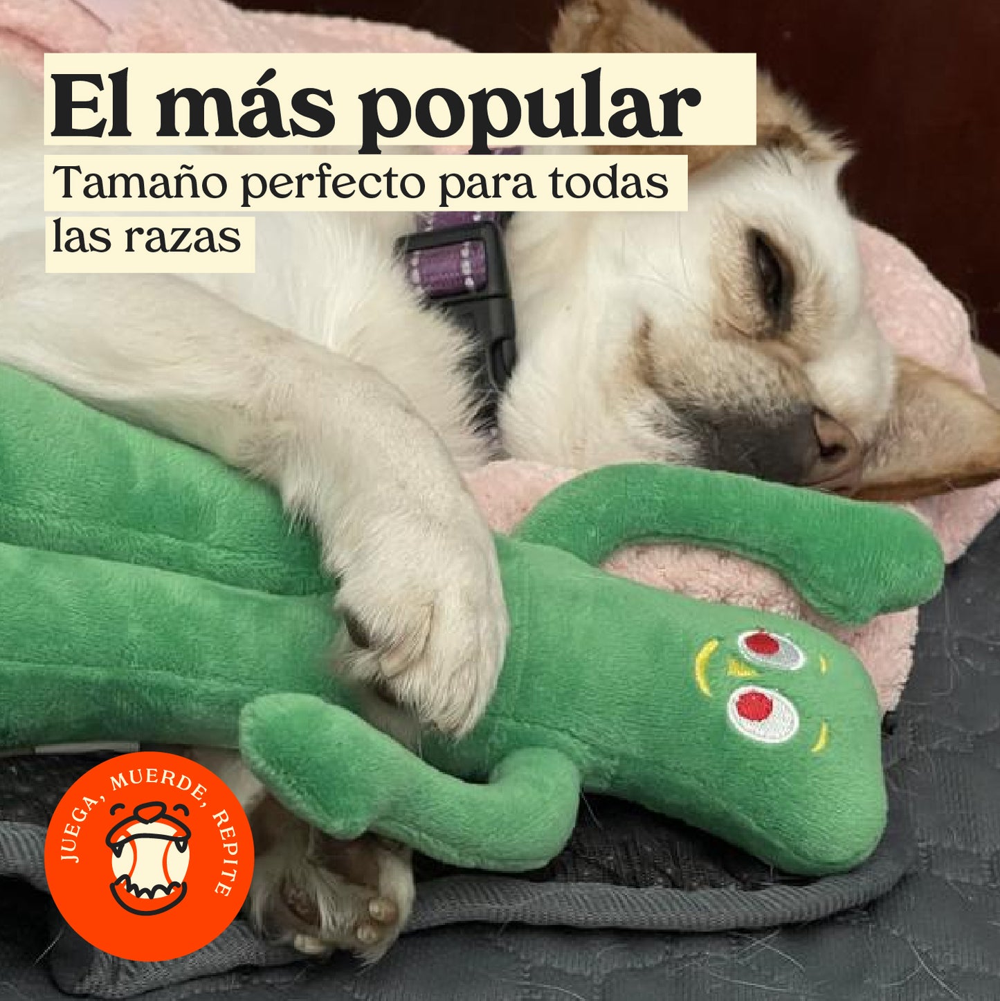 Gumby juguete para perros