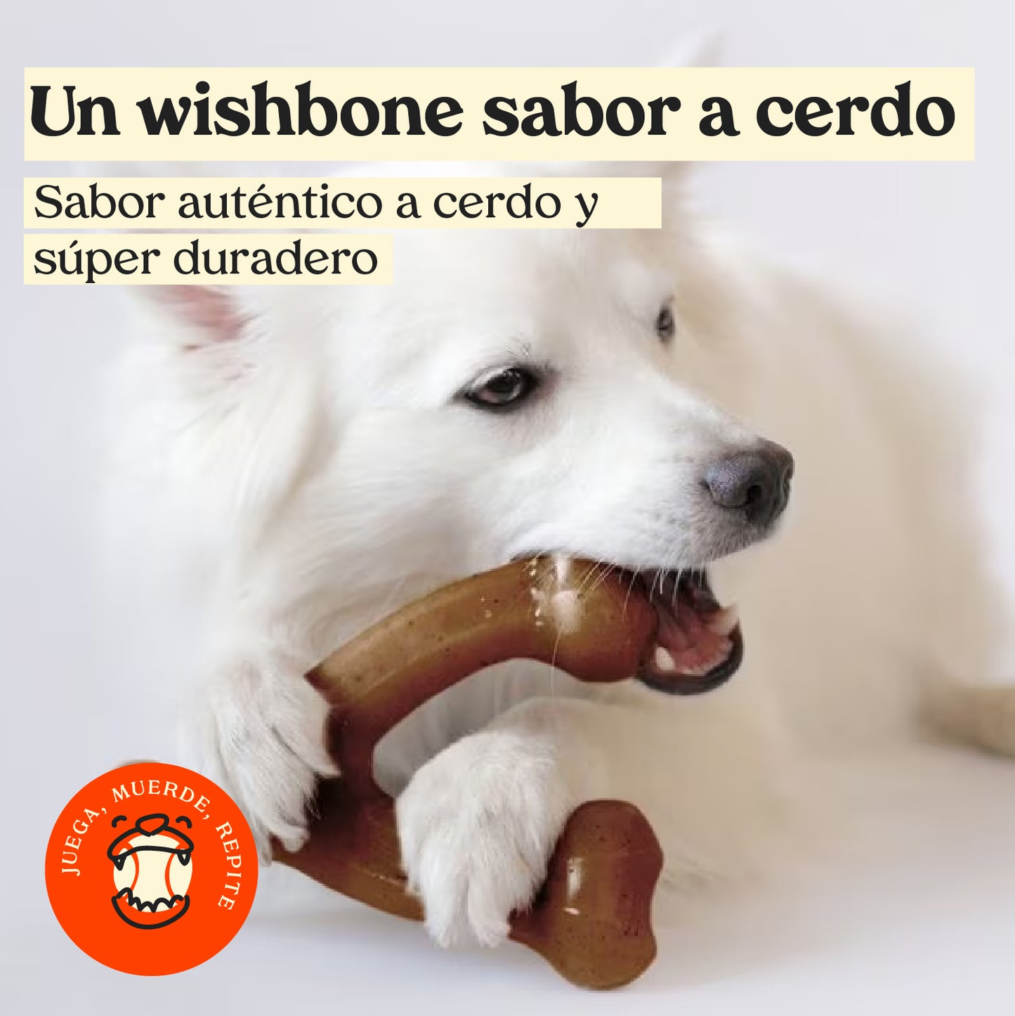 Benebone - Juguete con sabor a tocino y forma de hueso para perros
