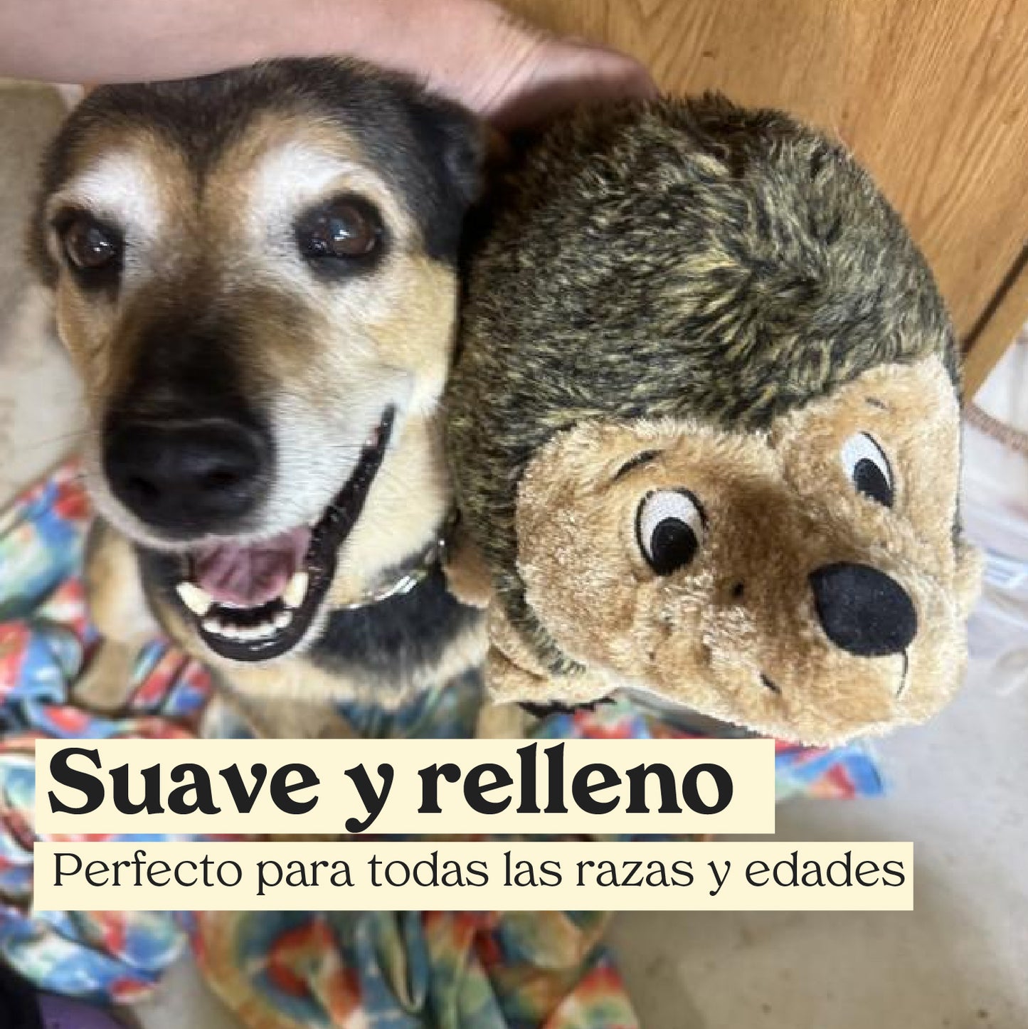 Erizo de Juguete Outward Hound