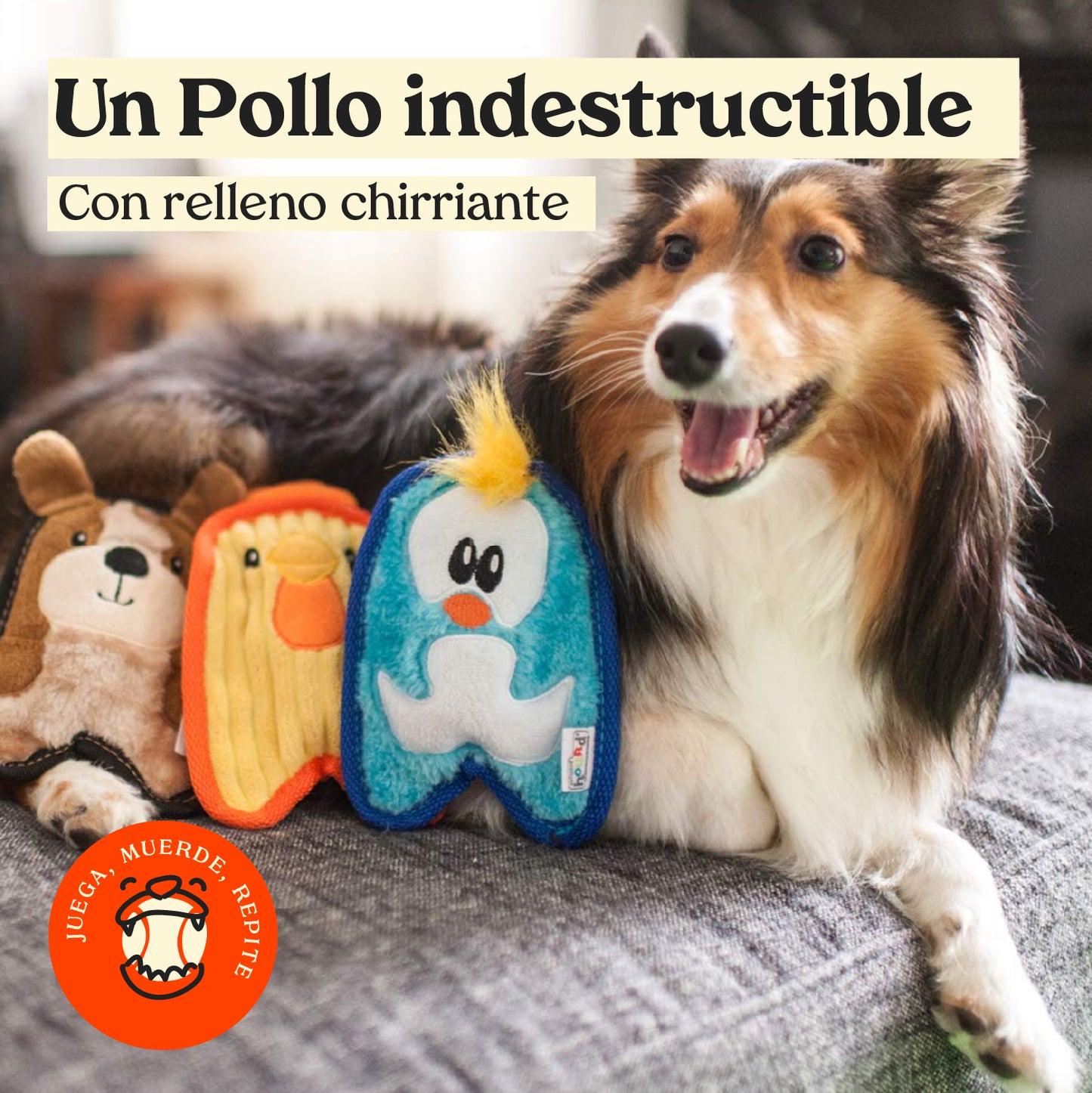 Pollo Invencible - peluche para perro