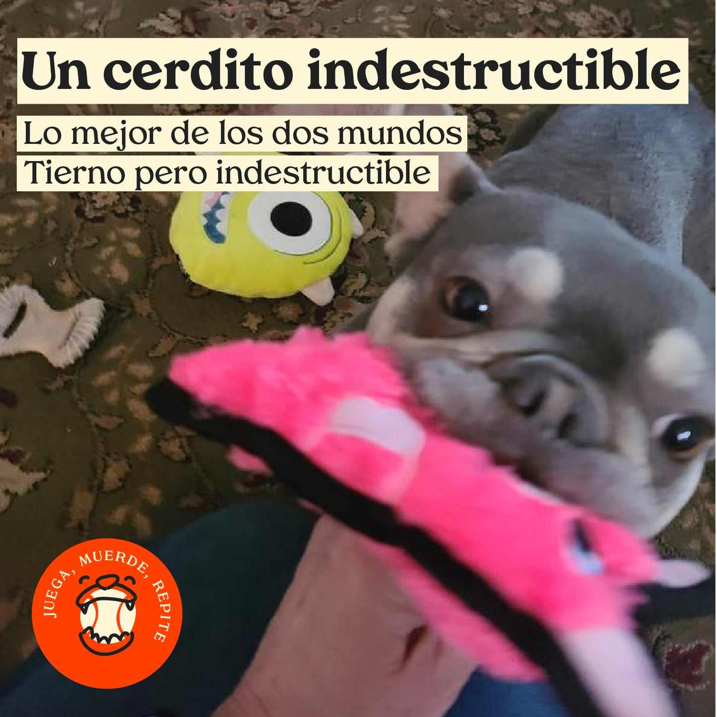 Cerdo Invencible - peluche para perro