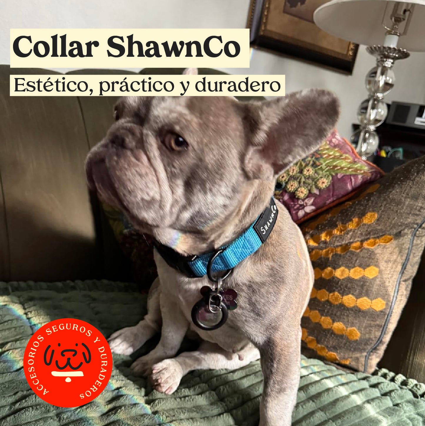 Collar de perro ShawnCo Talla S