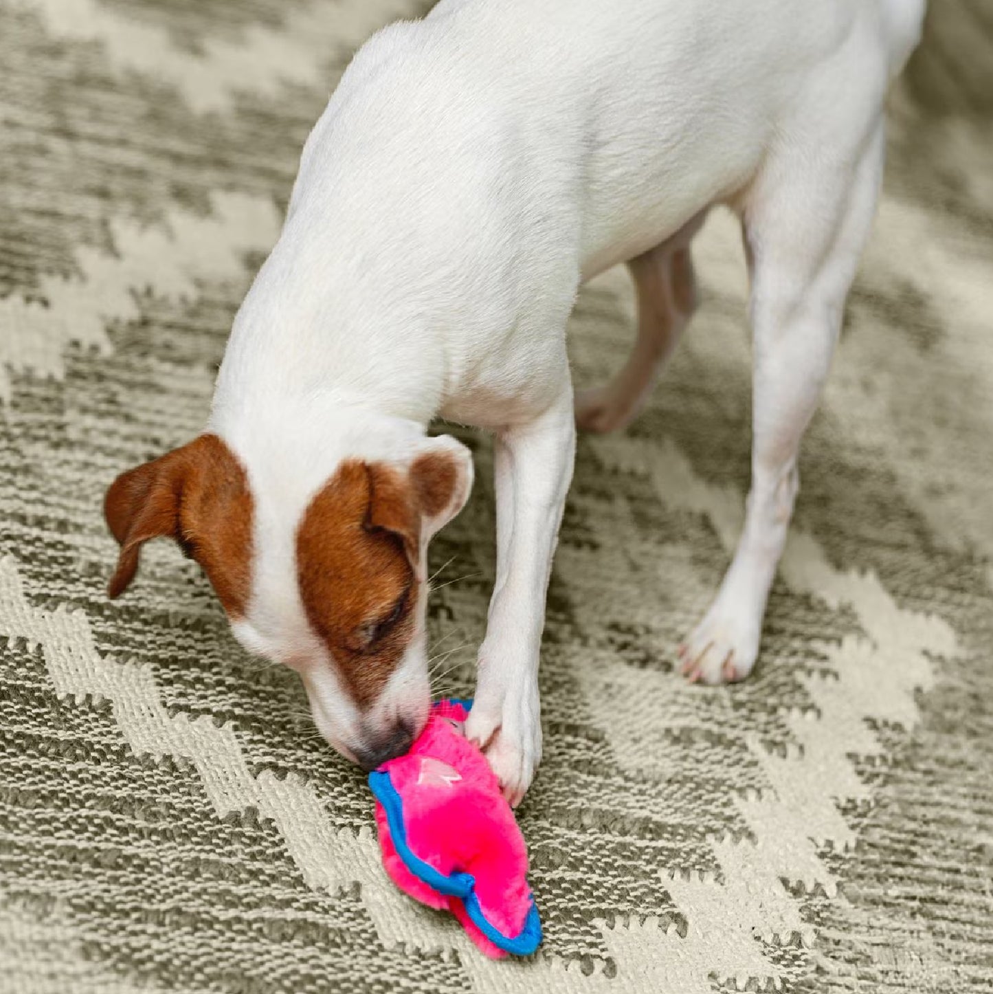 Cerdo Invencible - peluche para perro