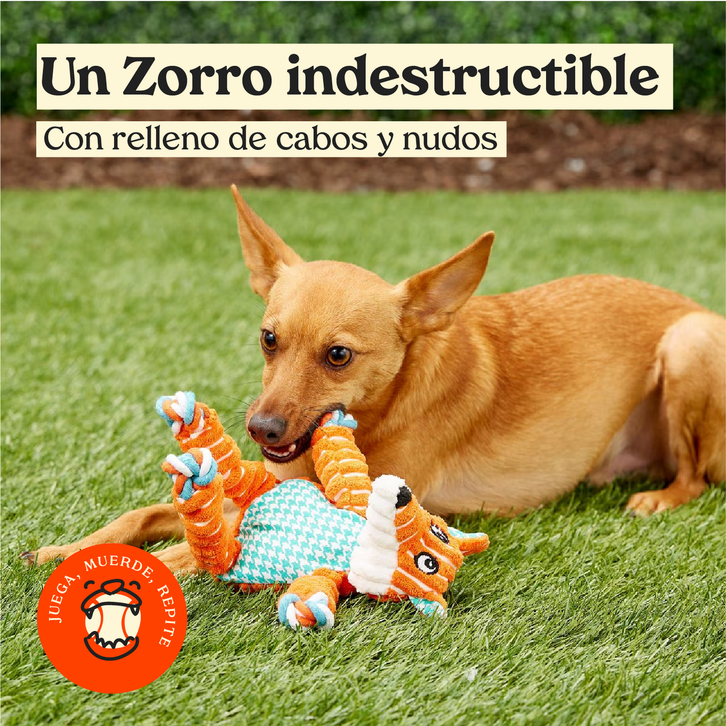 Zorro Floppy Kong Knots - Juguete para perro