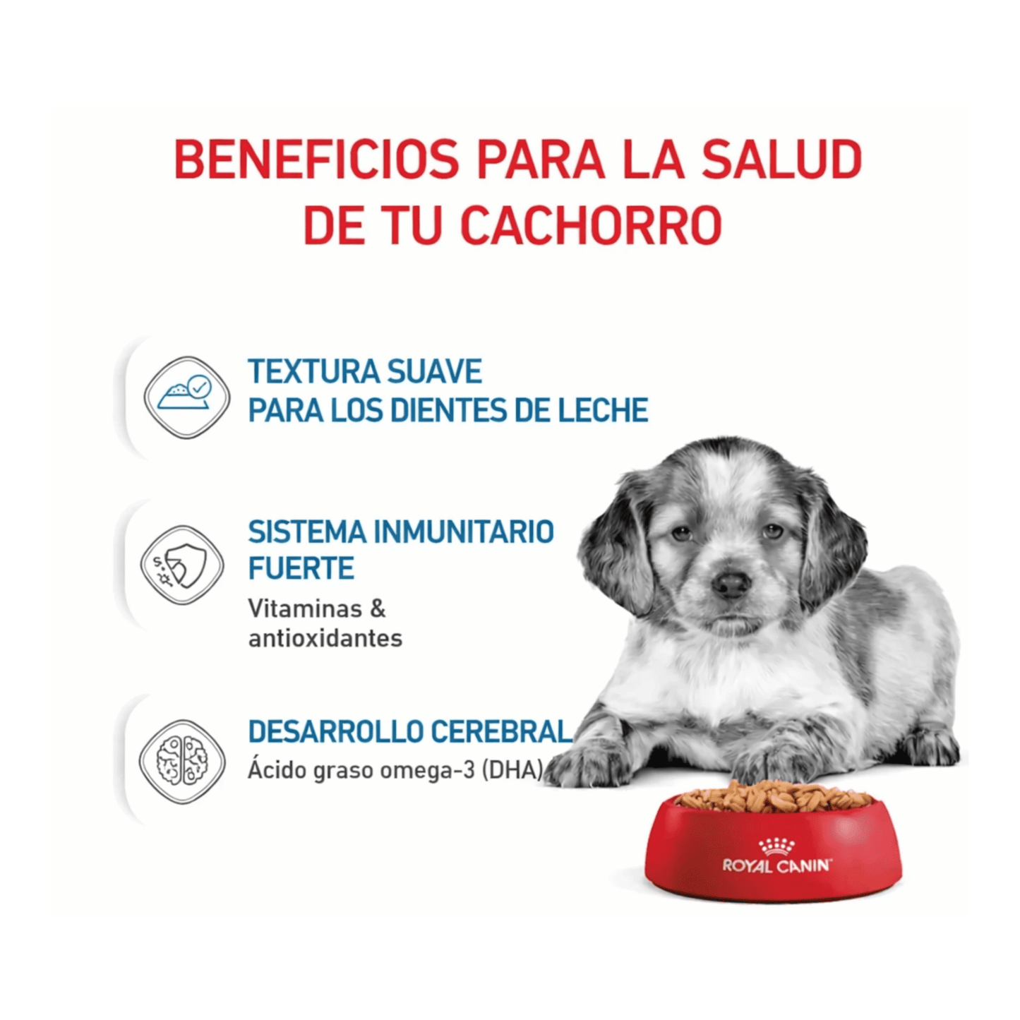 Royal Canin Húmedo Pouche Medium Cachorro