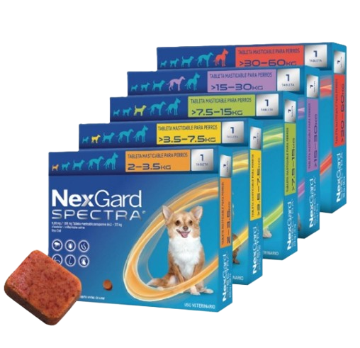 Nexgard SPECTRA Desparasitante Para Perros