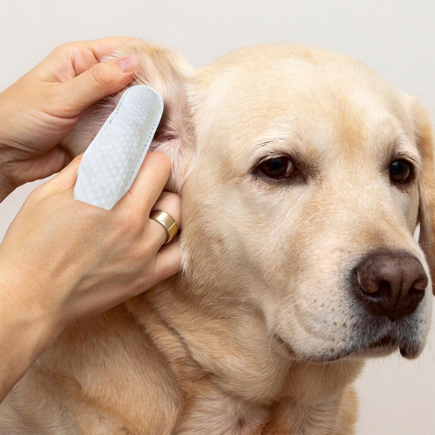Pañitos para oídos Paw Science