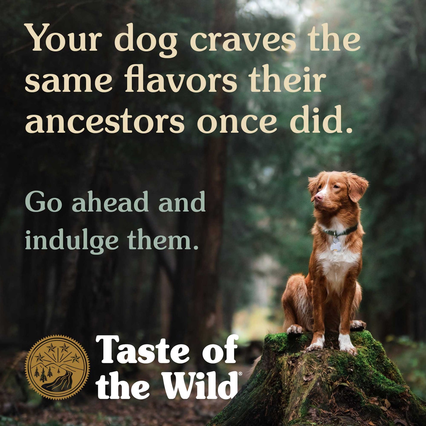 Taste Of The Wild Pacific Stream Perros Adultos Sabor Salmón